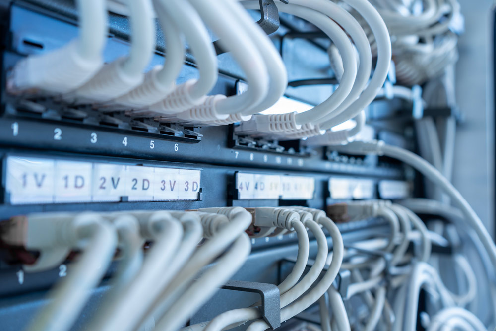 Detailed close-up of a professional network server rack where several white ethernet patch cables are neatly connected to a patch panel.